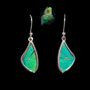 Prepona Butterfly Wing Earrings