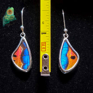 Morpho & Urania Ripheus Earrings {SM0111}