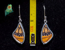 Monarch Butterfly Wing Earrings {SM0114}