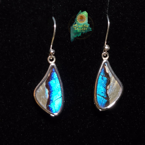 Butterfly Morpho & Sulkowsky Earrings