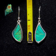 Prepona Butterfly Wing Earrings